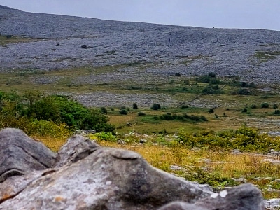 Karstgebiet Burren im County Clare, Irland